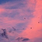 IMG_2839-06-09